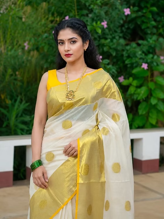 Balaramapuram premium kasavu cotton saree polka zari closeup view